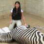 Internship at CVS Includes Zoo Medicine Elective