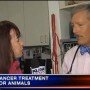 Dr. Ogilvie Featured on KUSI-TV