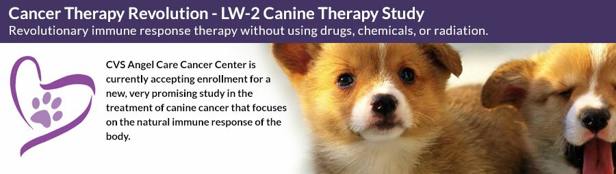 LW2 Canine Therapy Study