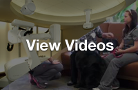 View more videos and media