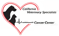 cvsangel logo